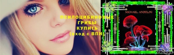 гашиш Богданович