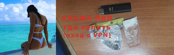 гашиш Богданович