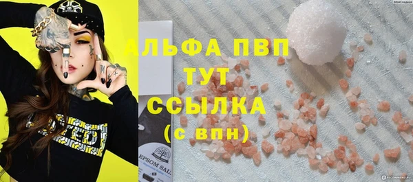гашиш Богданович