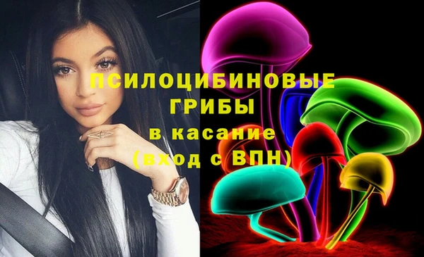 хмурый Богородицк