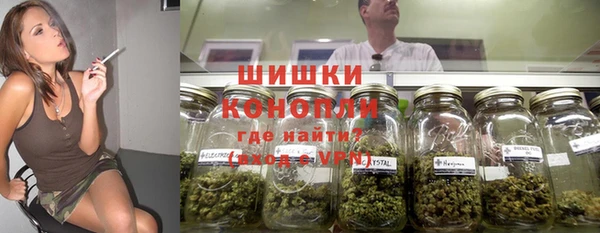 гашиш Богданович