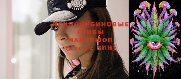 гашиш Богданович