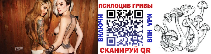 MEGA ссылка  Оренбург  Псилоцибиновые грибы Cubensis 